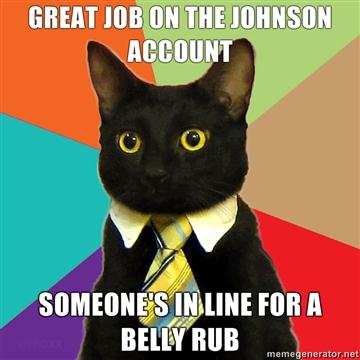businesscat-31