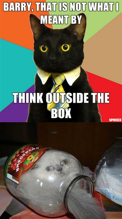 businesscat-insidethejar